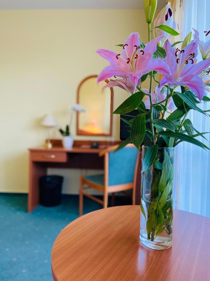 Garni Hotel Pyramida Хеб Экстерьер фото